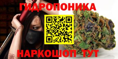 тгк Кингисепп