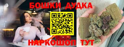 тгк Кингисепп