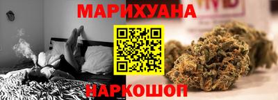 тгк Кингисепп