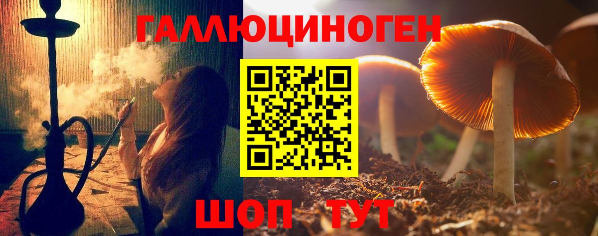 Галлюциногенные грибы мицелий  Кудрово 