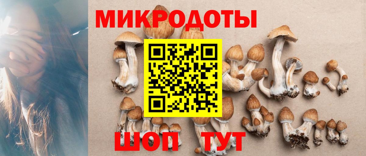 Псилоцибиновые грибы Cubensis  Вход с VPN  Кудрово 