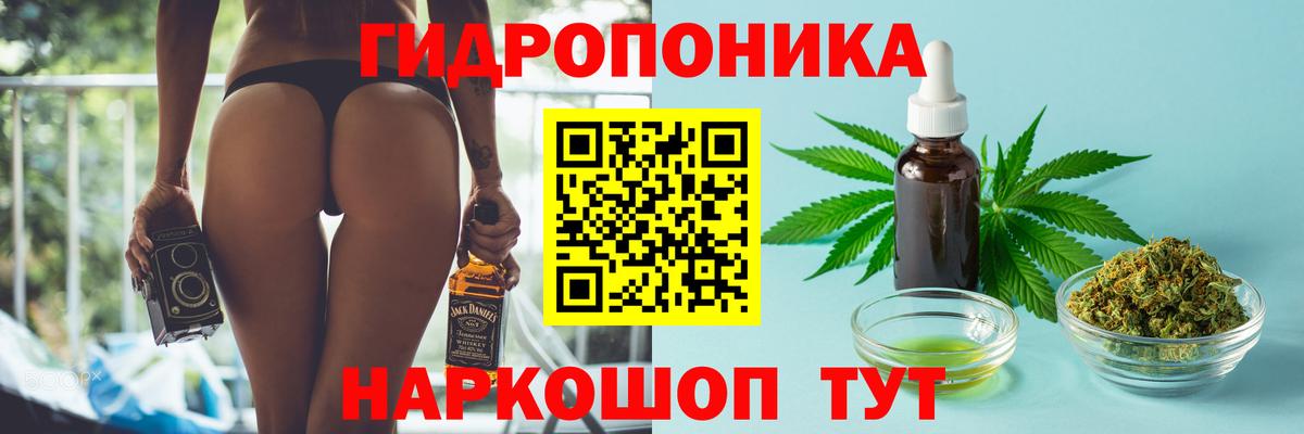 Кудрово  Каннабис тримм  МАРИХУАНА планчик  МАРИХУАНА тримм  Марихуана гибрид  Вход с VPN 